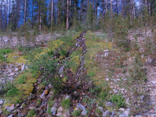 An interesting little spring and green delta on the hillside.